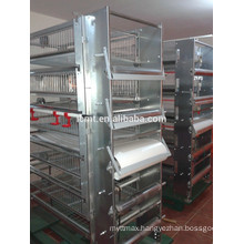 China sell automatic Quail cages and equipment